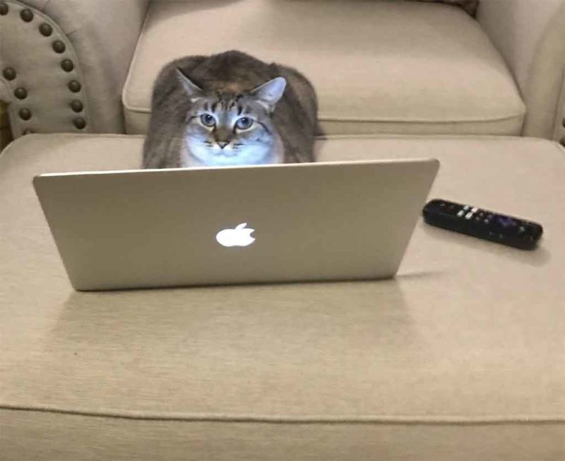 Our Medium Term Future
