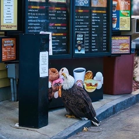 Culture Over Commerce