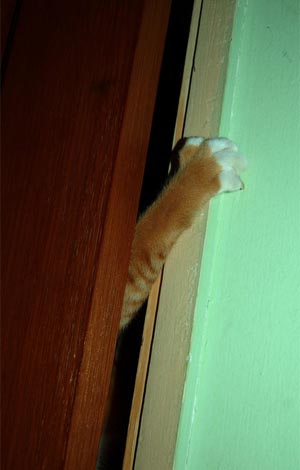 Linkpost 03-05-11