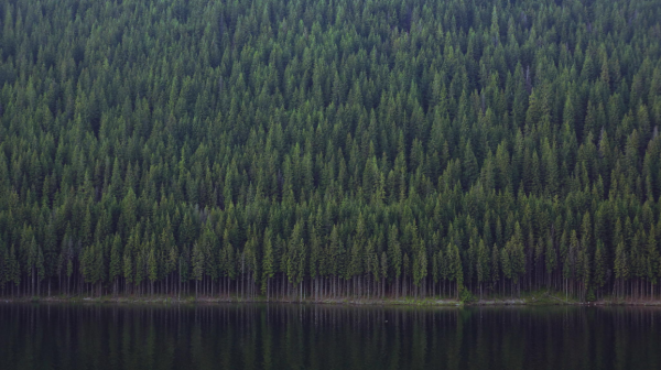 Clearing the Modern Mind