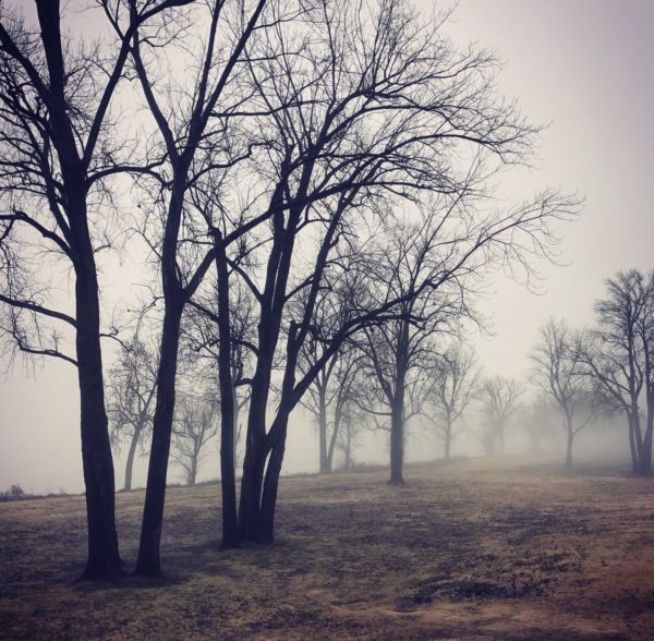 From A Distance