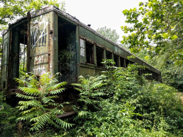 A Modest Proposal To Reverse Ecocide