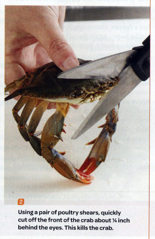 this_kills_the_crab