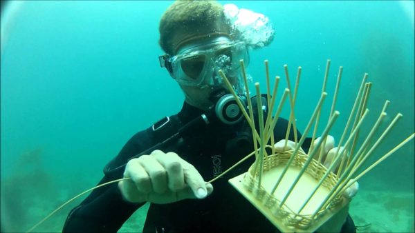 underwater_basket-weaving