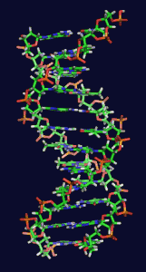 Genetic Socialism