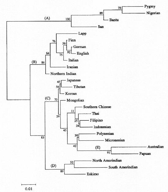 Figure 4 from The Race FAQ by John Goodrum