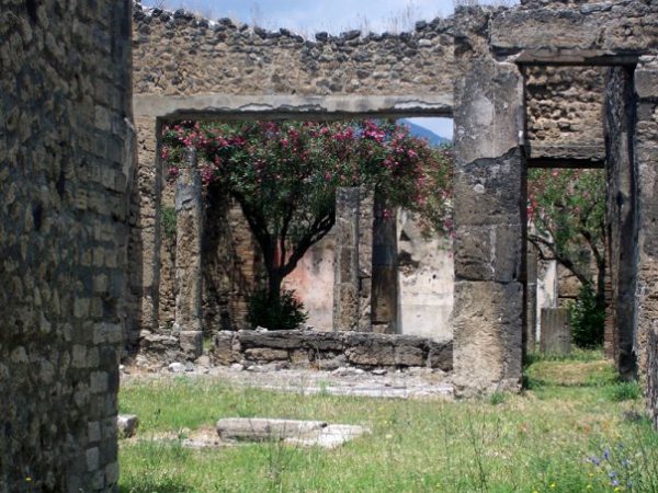 A Path Through The Ruins