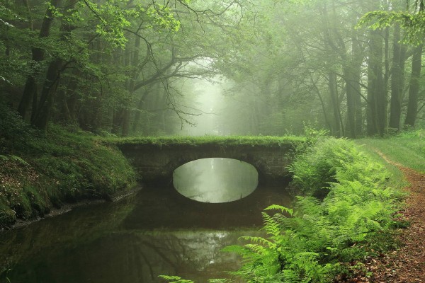 abandoned_bridge_to_forgotten_wisdom