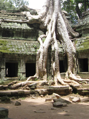 Angkor Wat syndrome