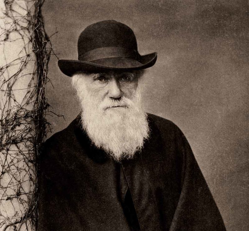 We Are Still In Denial Of Darwin