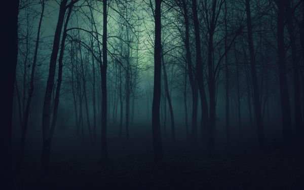 deep_dark_forest