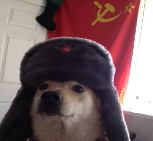 doge_of_ideological_warfare