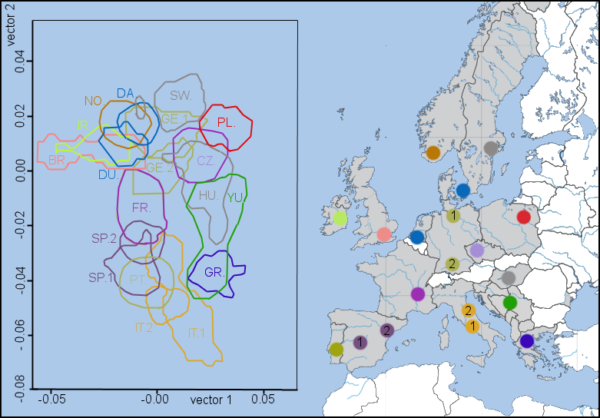 European Genetics Reveal The Differences Between European Ethnic Groups