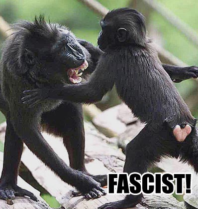 fascist