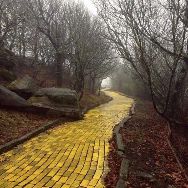 follow_the_yellow_brick_road