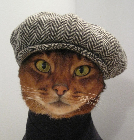 hipster_cat