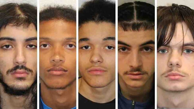 DiversityWatch (August 2, 2025)