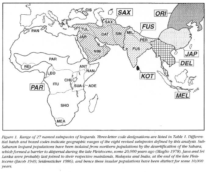 Figure 1 from The Race FAQ by John Goodrum