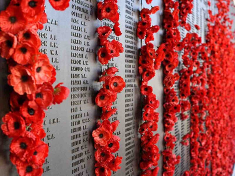 Victims of Wars for Democracy Day