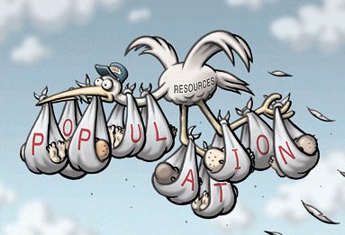 Overpopulation Stork