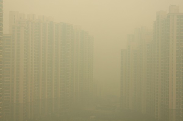 overpopulation_in_smog