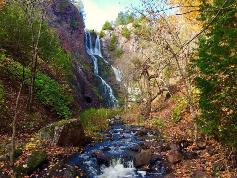 Russia Shows The Future Of Nature Conservation: Total Segregation Of The Wild