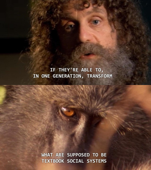 robert_sapolsky_-_keekorok_troop-8