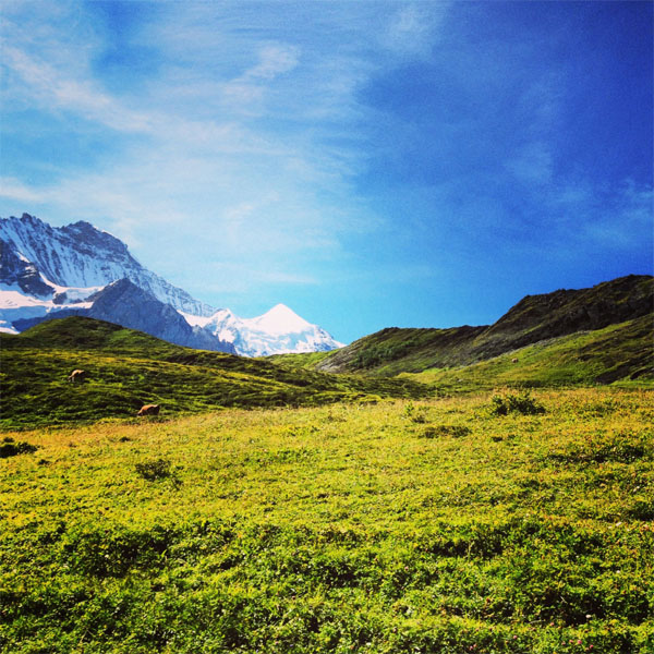 swiss_countryside_small