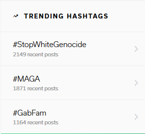 Activists Push #StopWhiteGenocide To Top Spot On Gab