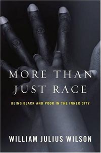 william_julius_wilson-more_than_just_race